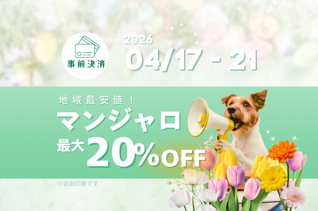 【4/21まで】マンジャロ最大20%オフ🌸GW前にダイエットを頑張りたい方へ