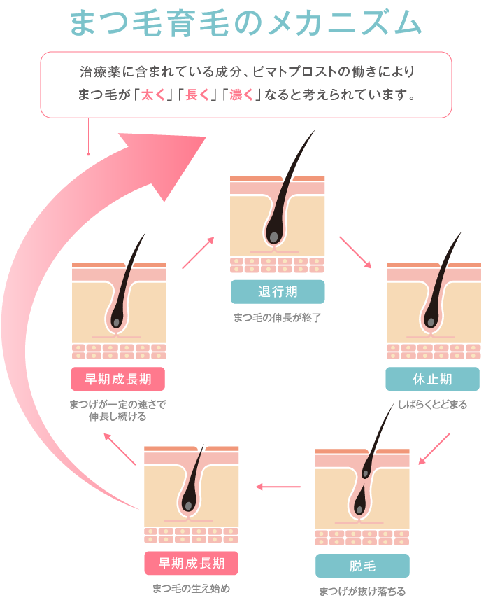 まつ毛美容液　ピマトプロスト　4か月分 ビマトプロスト（まつ毛貧毛症治療薬・まつ毛美容液） | 赤羽