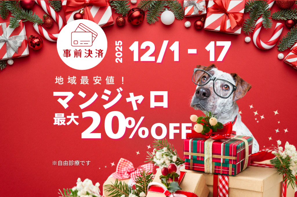【12/17まで】マンジャロ最大20%オフ🎄