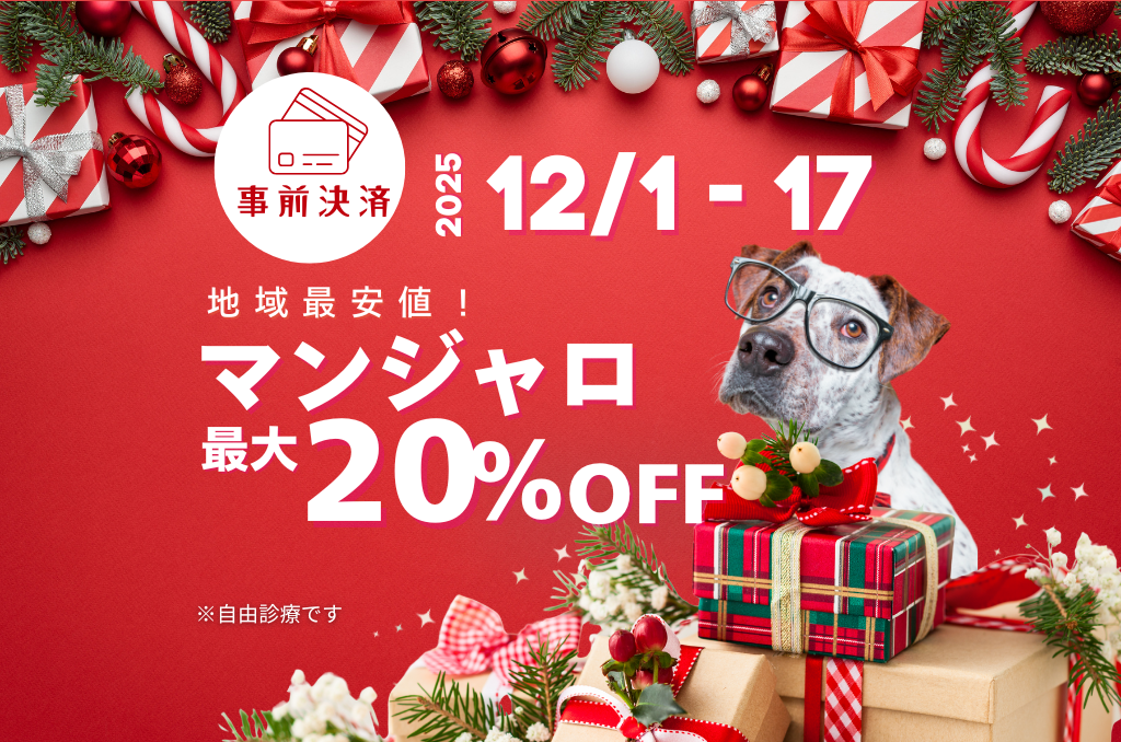 【12/17まで】マンジャロ最大20%オフ🎄