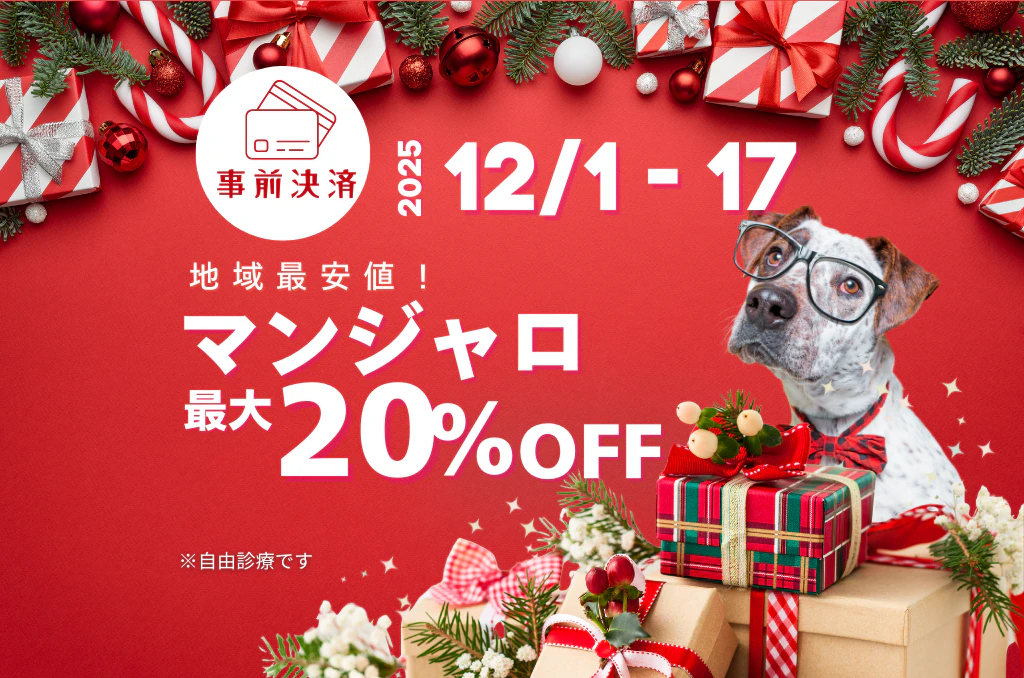 【12/17まで】マンジャロ最大20%オフ🎄