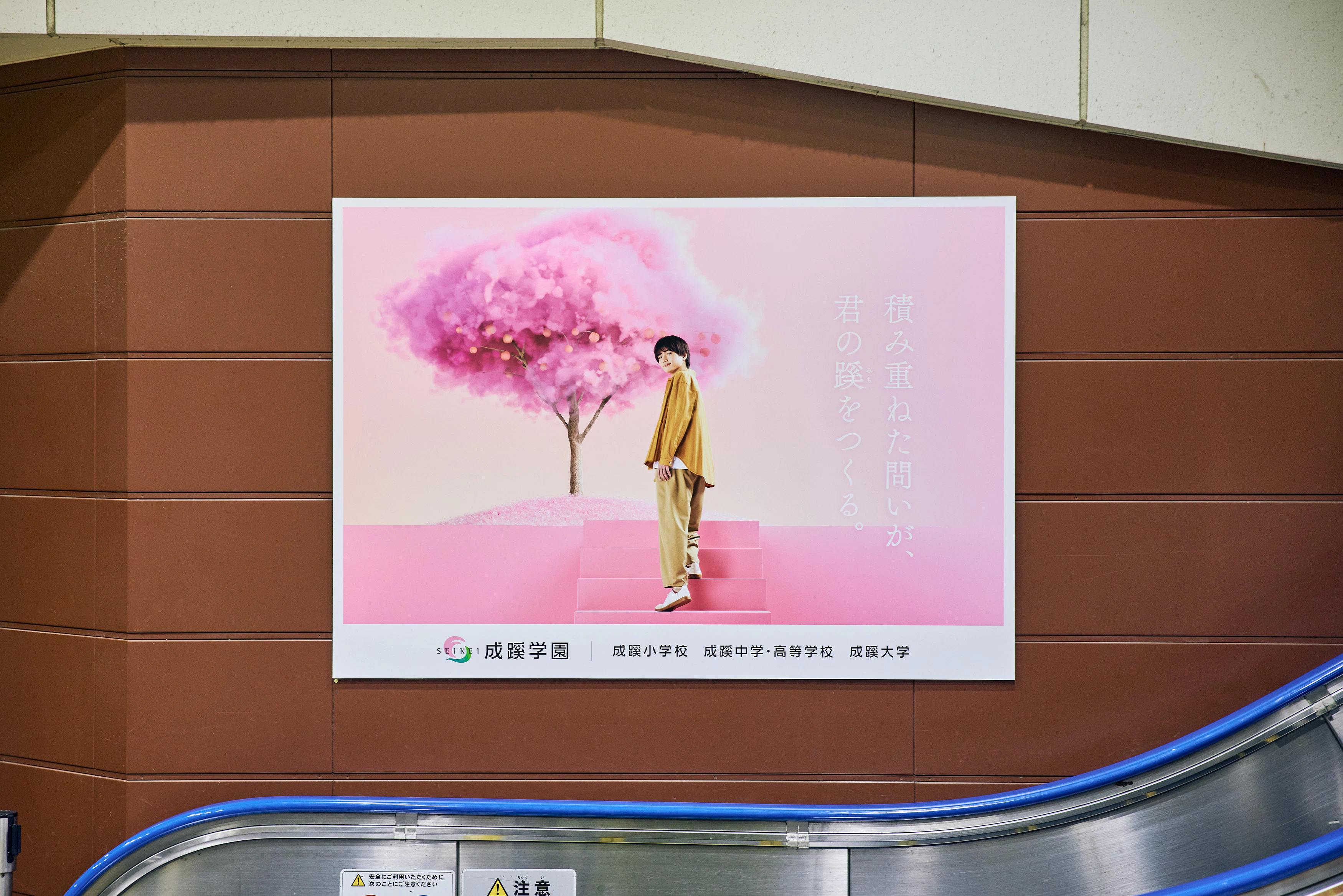 「積み重ねた問いが、君の蹊をつくる。」