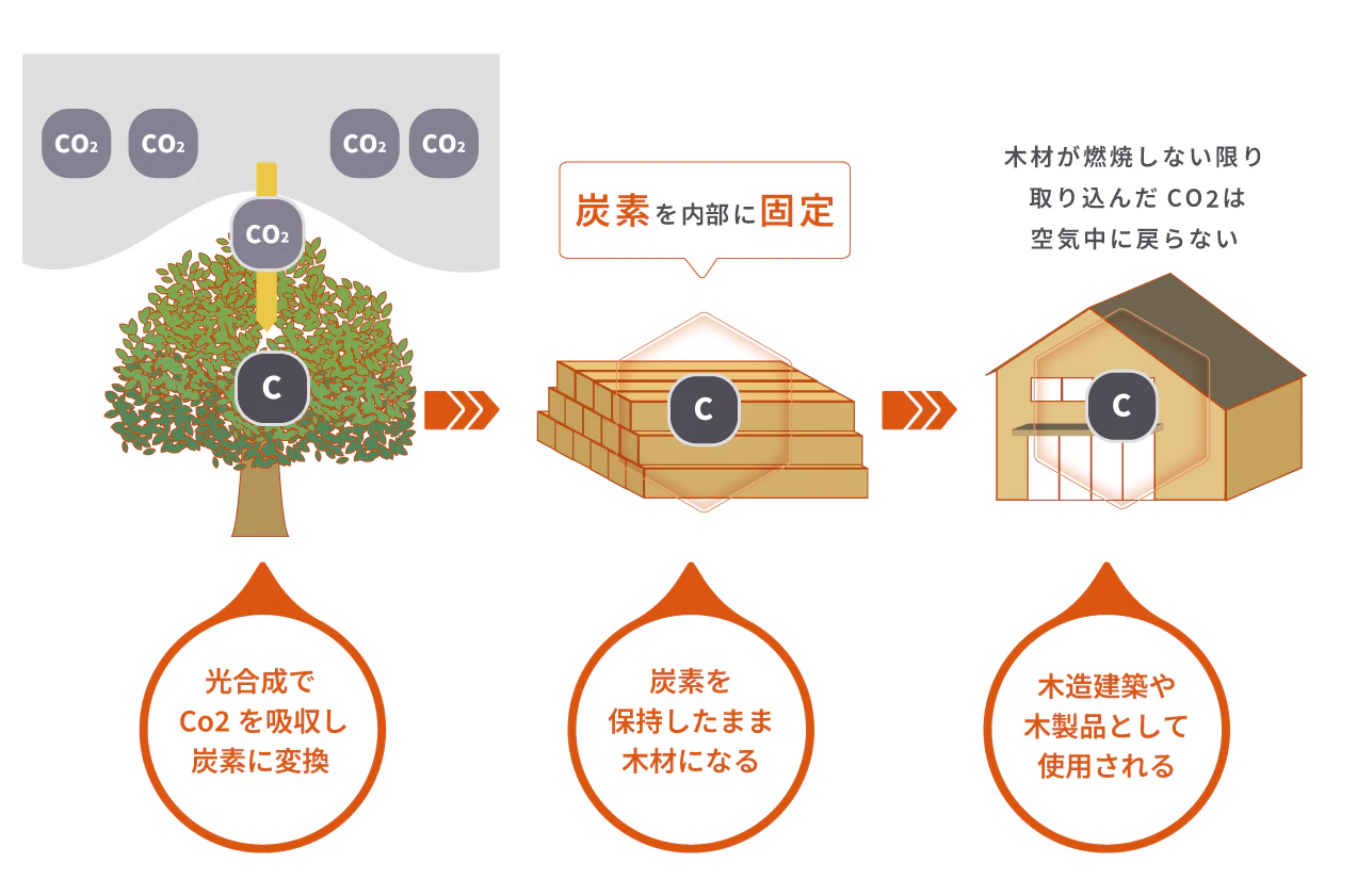 炭素固定の仕組み解説図