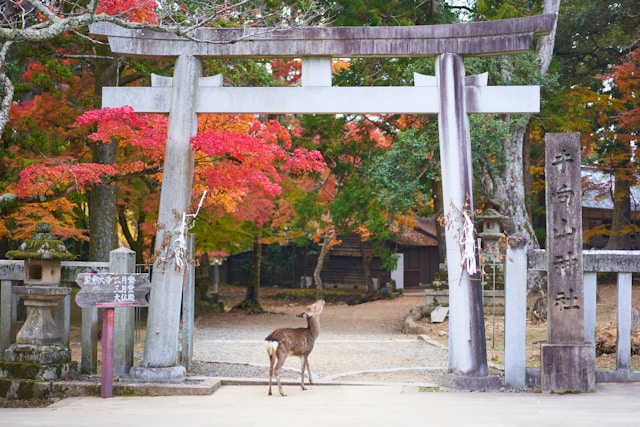 【Nara Tourism】10 Must-Visit Tourist Spots in Nara