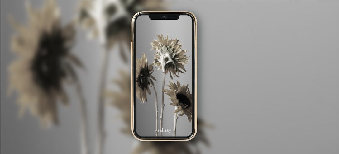 壁紙 スマホ壁紙を追加しました Salisty サリスティ 女性向けスマホケース モバイルアクセサリーブランド 公式サイト 壁紙 スマホ壁紙を追加しました Salisty サリスティ 女性向けスマホケース モバイルアクセサリーブランド 公式サイト