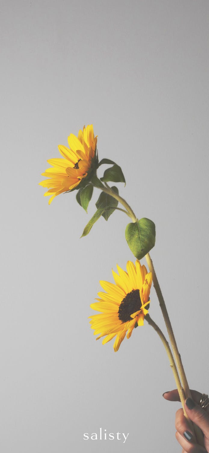 Wallpaper Salisty サリスティ 女性向けスマホケース モバイルアクセサリーブランド 公式サイト