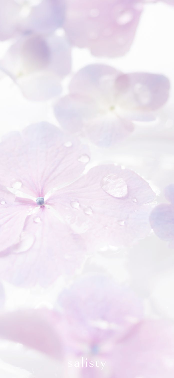 Wallpaper Salisty サリスティ 女性向けスマホケース モバイルアクセサリーブランド 公式サイト