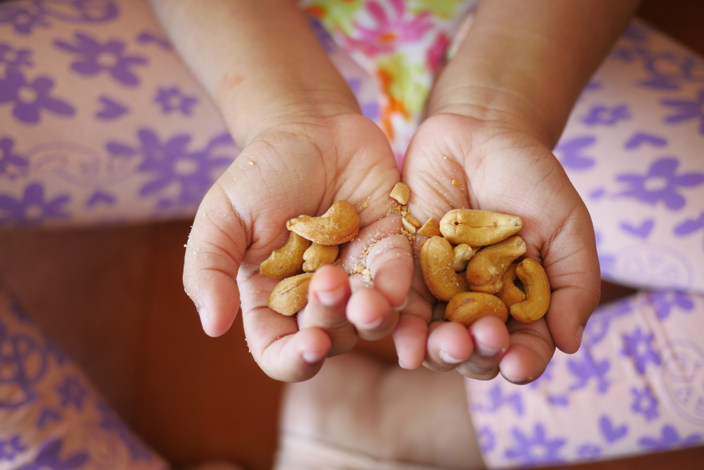 ナッツアレルギーさん必読！特定原材料等29品目へ改正｜何が変わった？