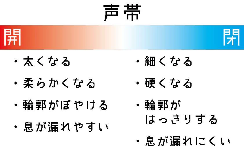 声帯の開閉具合によって得られる効果をまとめた画像