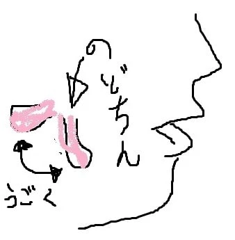 のどちんこの可動域を表す画像