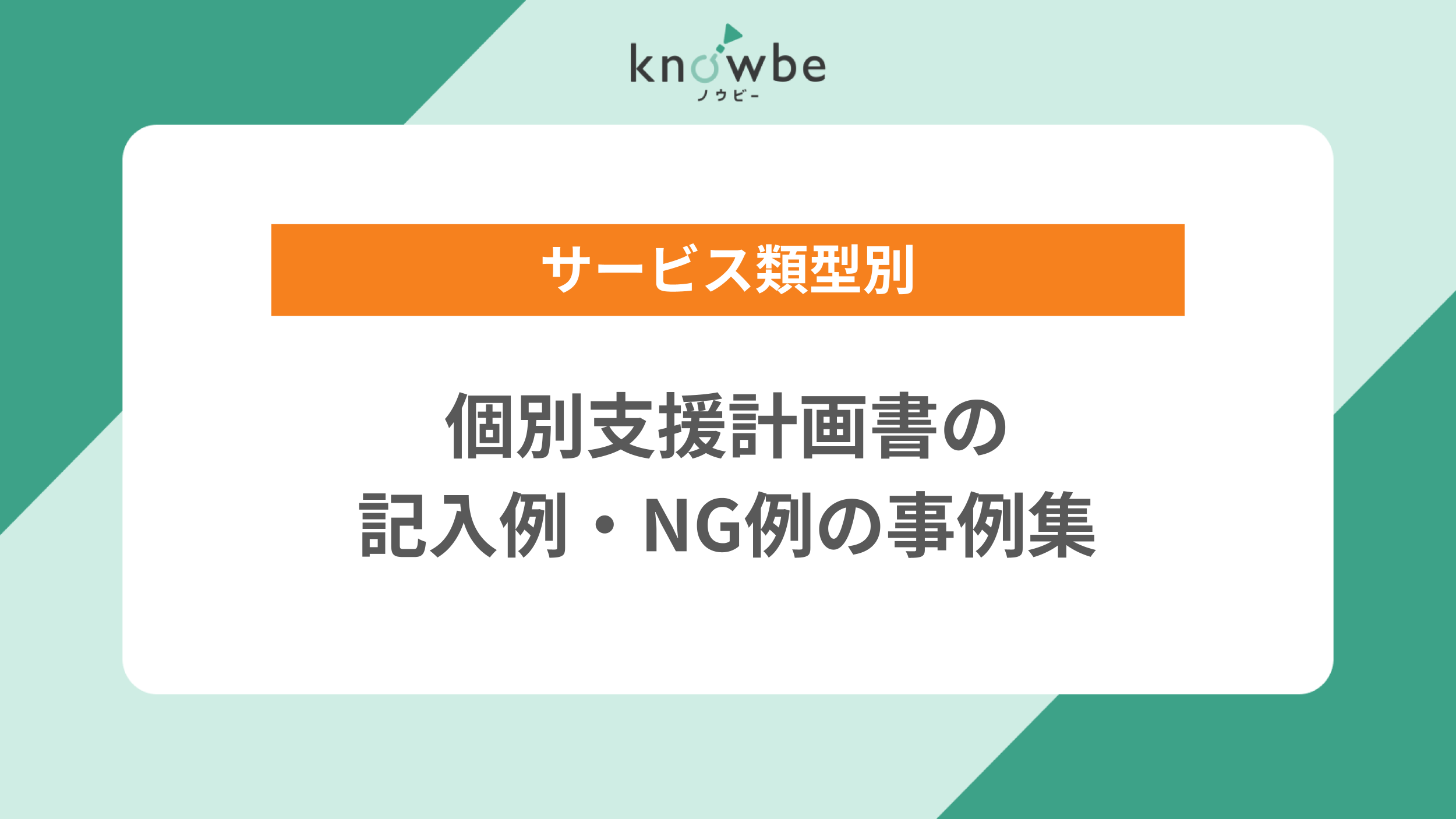 kobetsu-shien-jirei.png