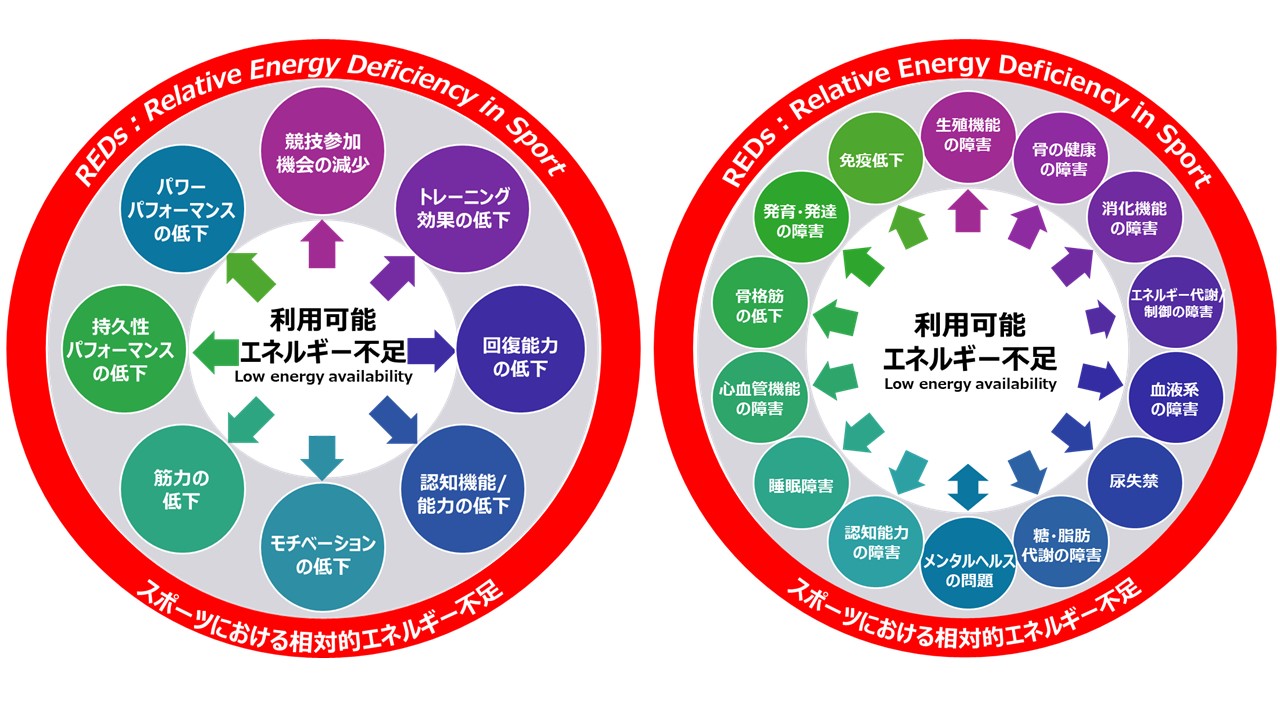 スポーツ支援サービスにおける女性アスリートの特徴に着目した相対的