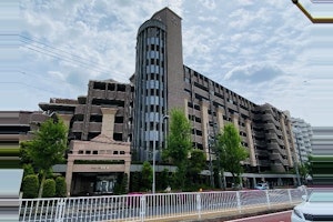画像の説明