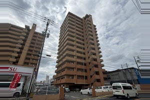 画像の説明
