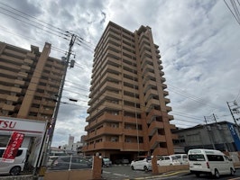 画像の説明