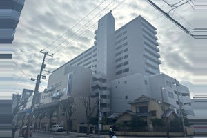 画像の説明