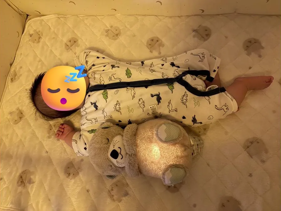 睡眠退行？生後5～6カ月の時にまとまって寝てくれなかった話