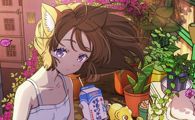ブーゲンビリアの朝