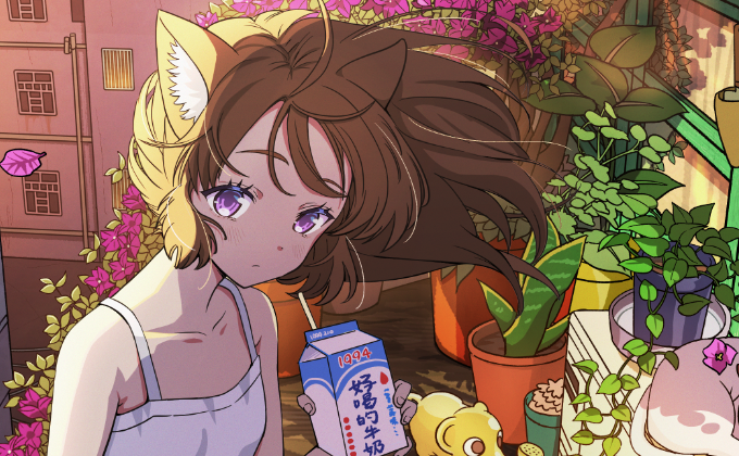 ブーゲンビリアの朝