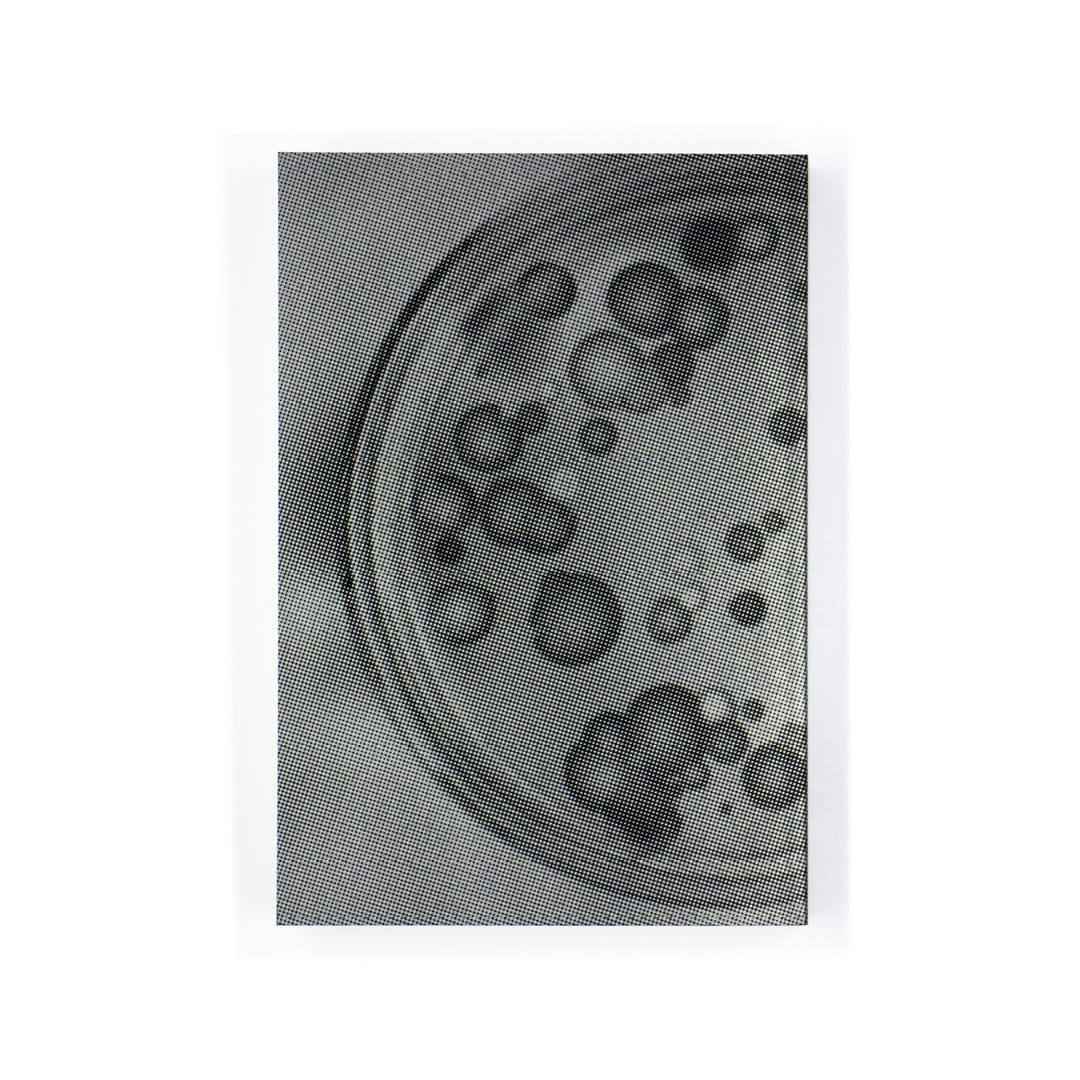 <p>超耐性菌 現代医療が生んだ「死の変異」</p>