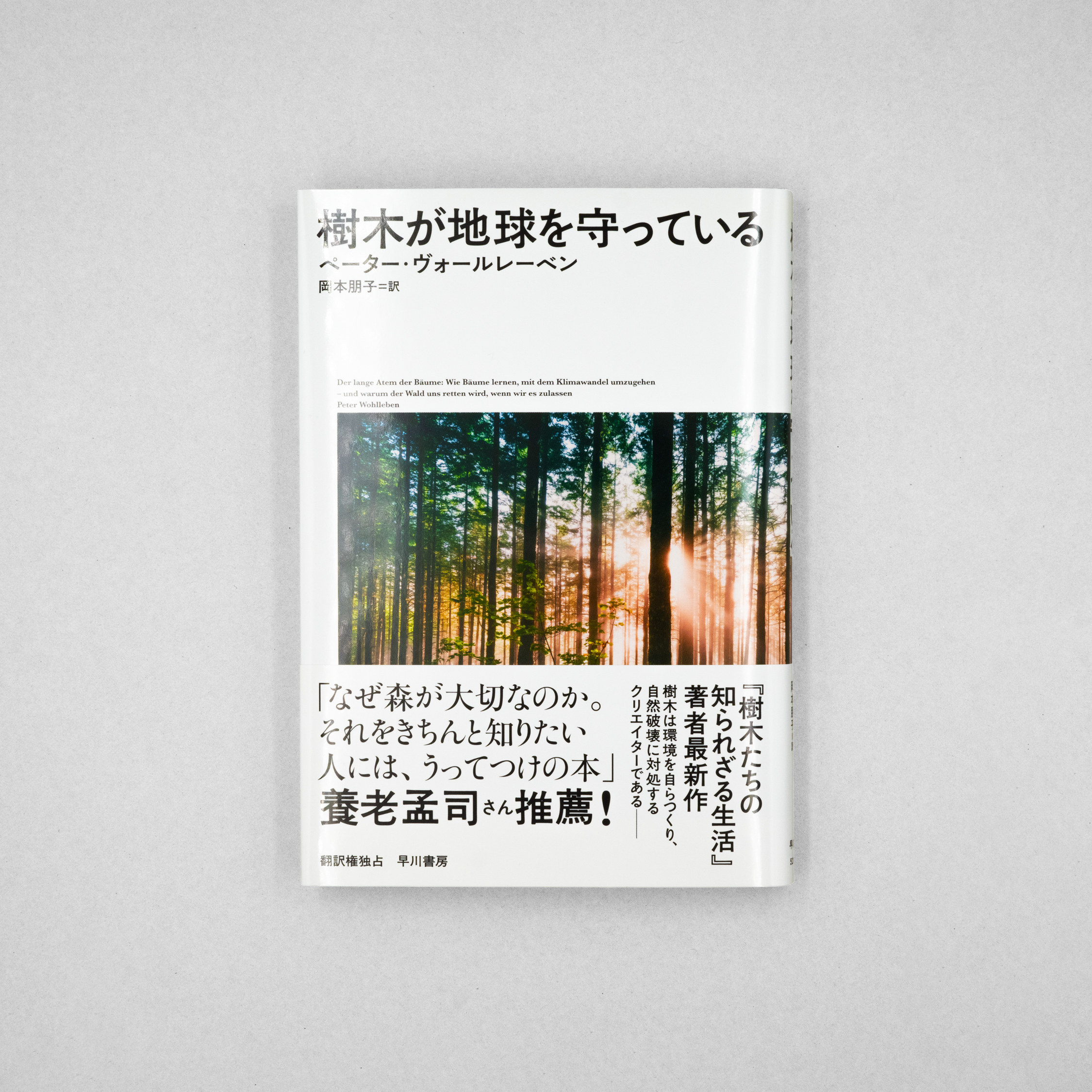 樹木が地球を守っている