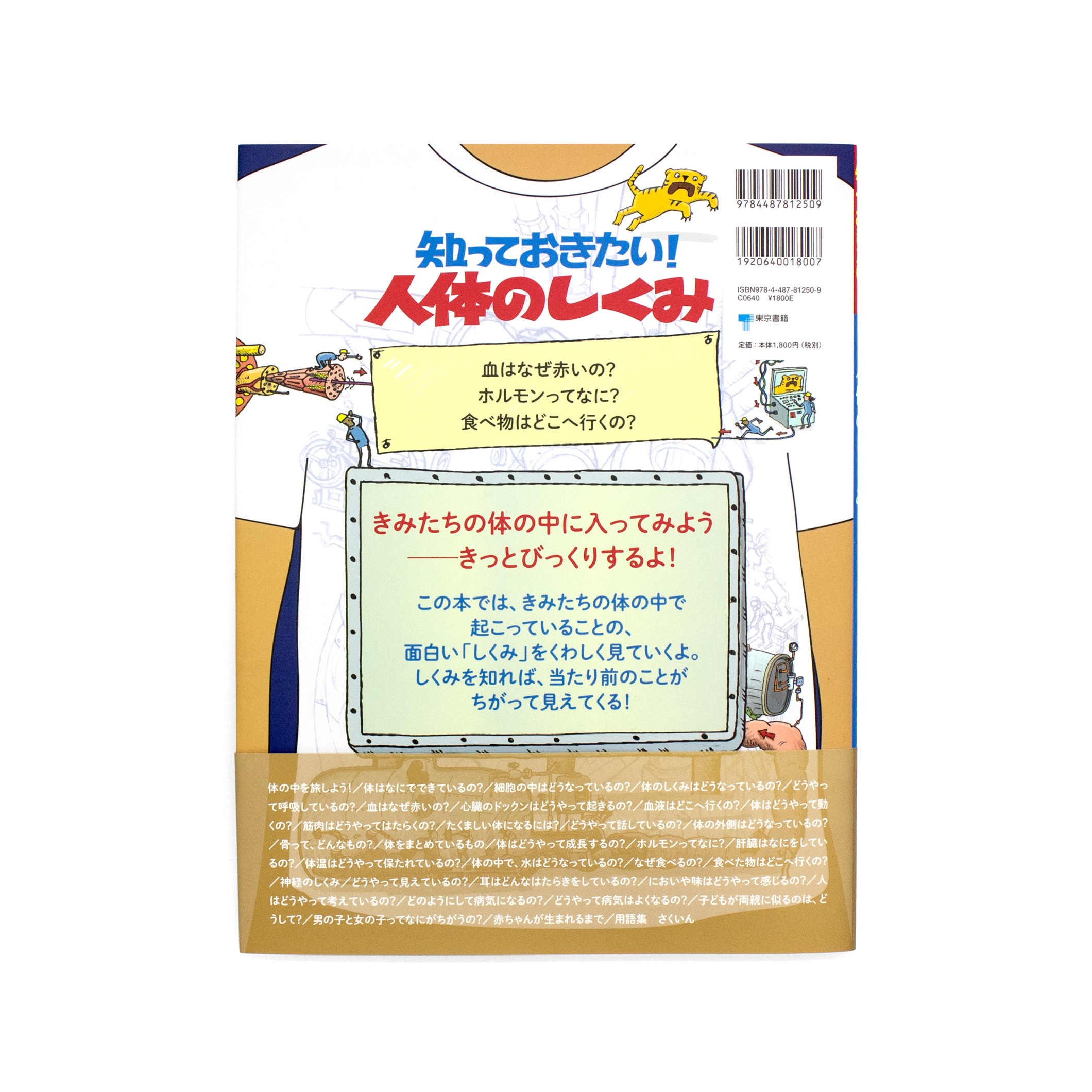 <p>知っておきたい！：人体のしくみ</p>