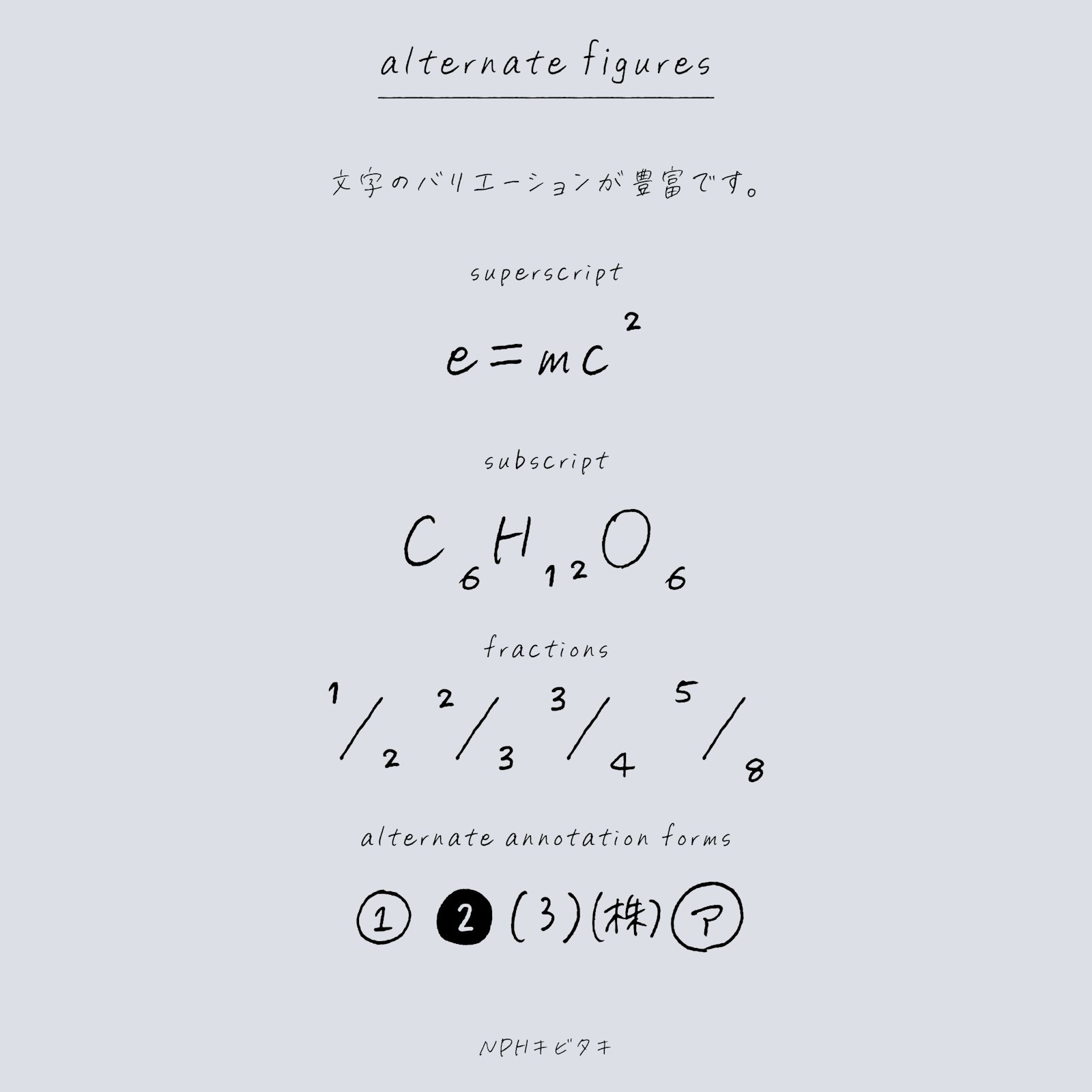 <p>NPHキビタキ</p>