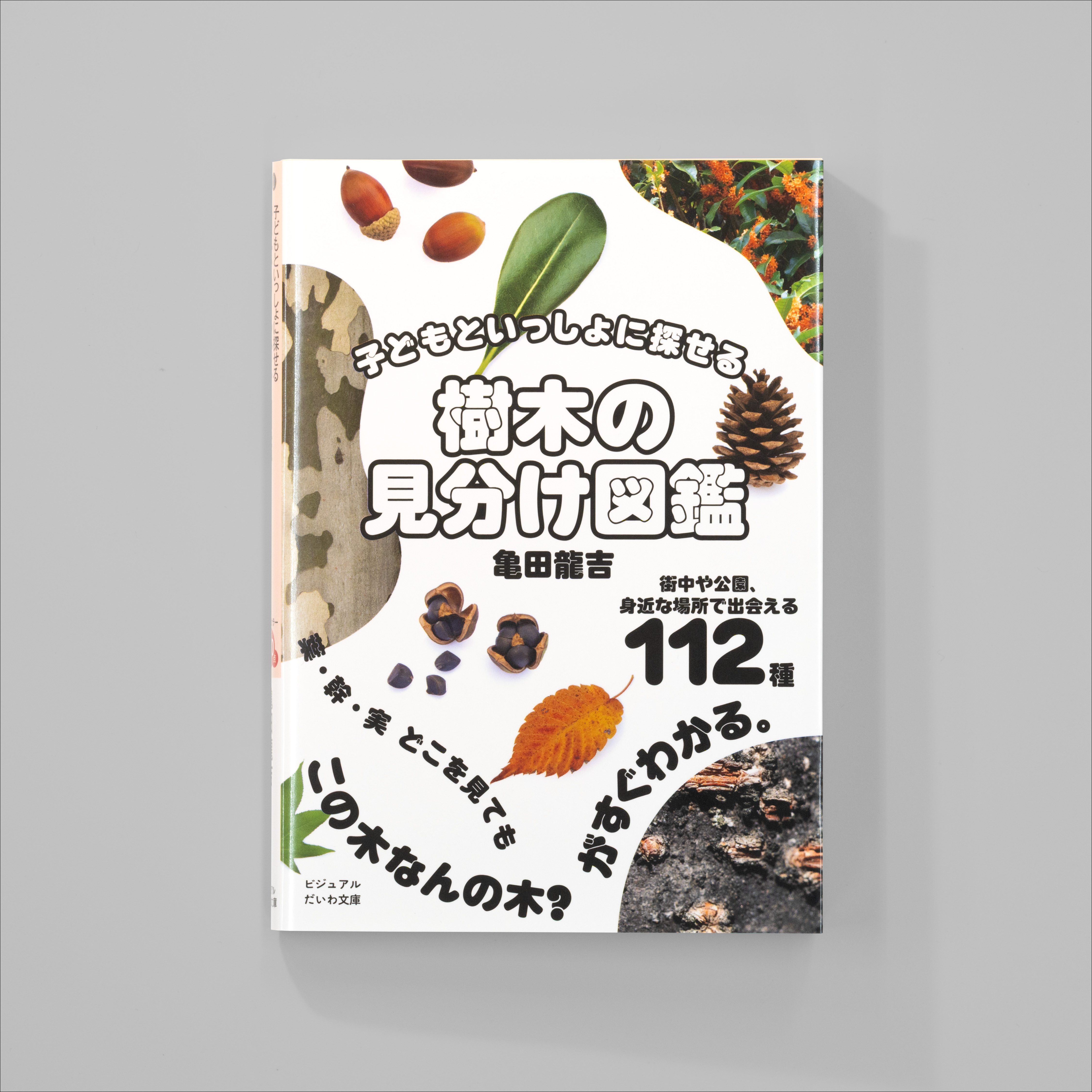 子どもといっしょに探せる 樹木の見分け図鑑｜nipponia