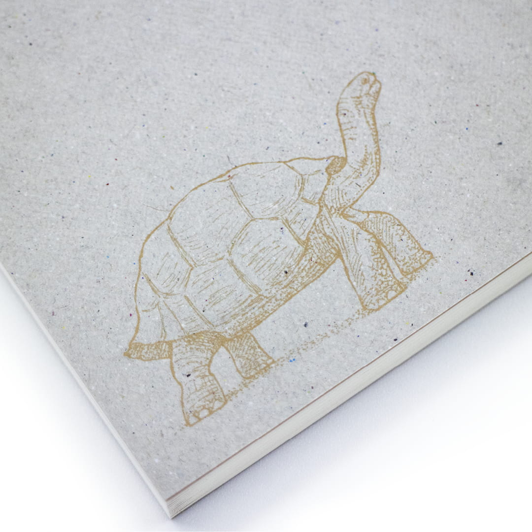 <p>生物に学ぶ ガラパゴス・イノベーション</p>