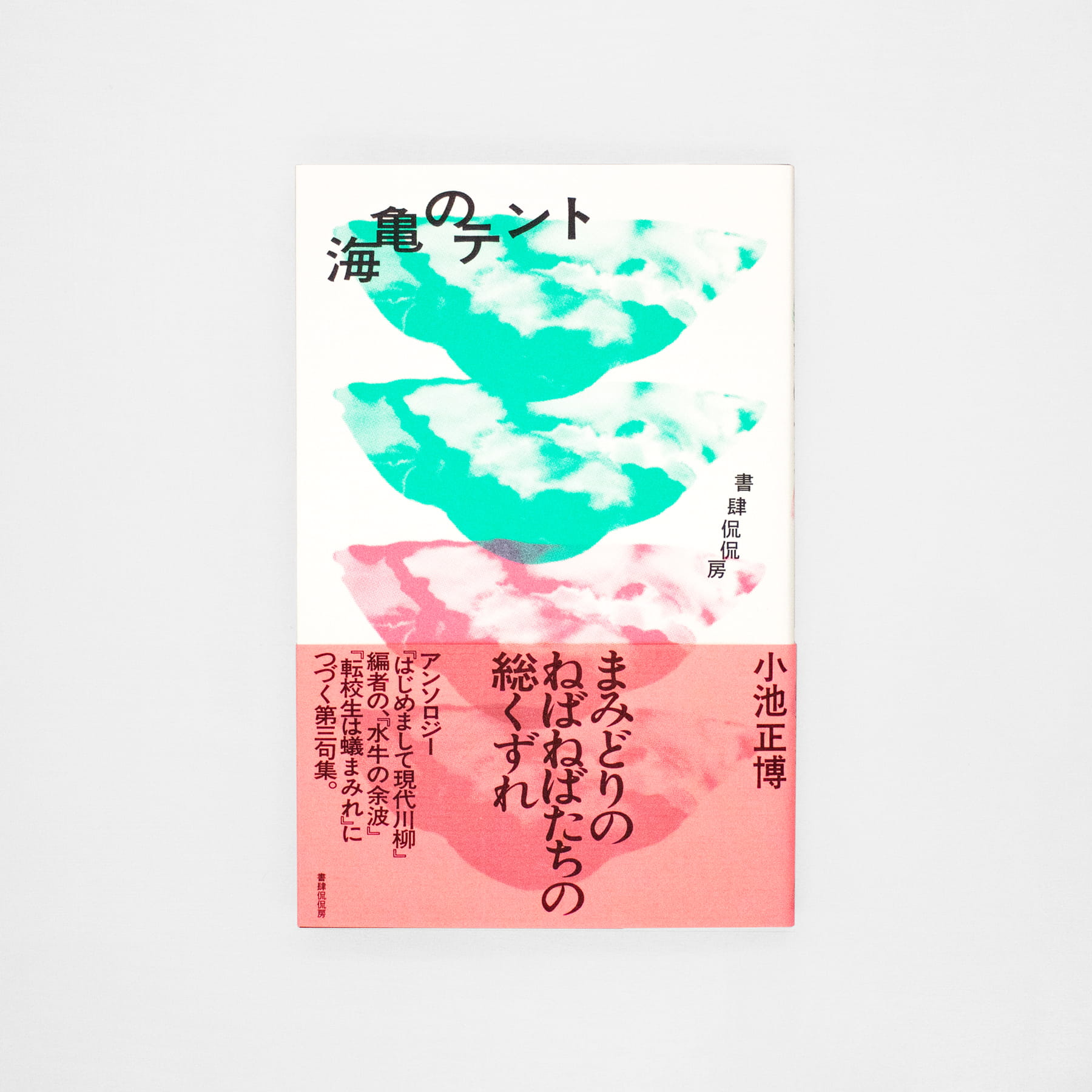 <p>海亀のテント</p>