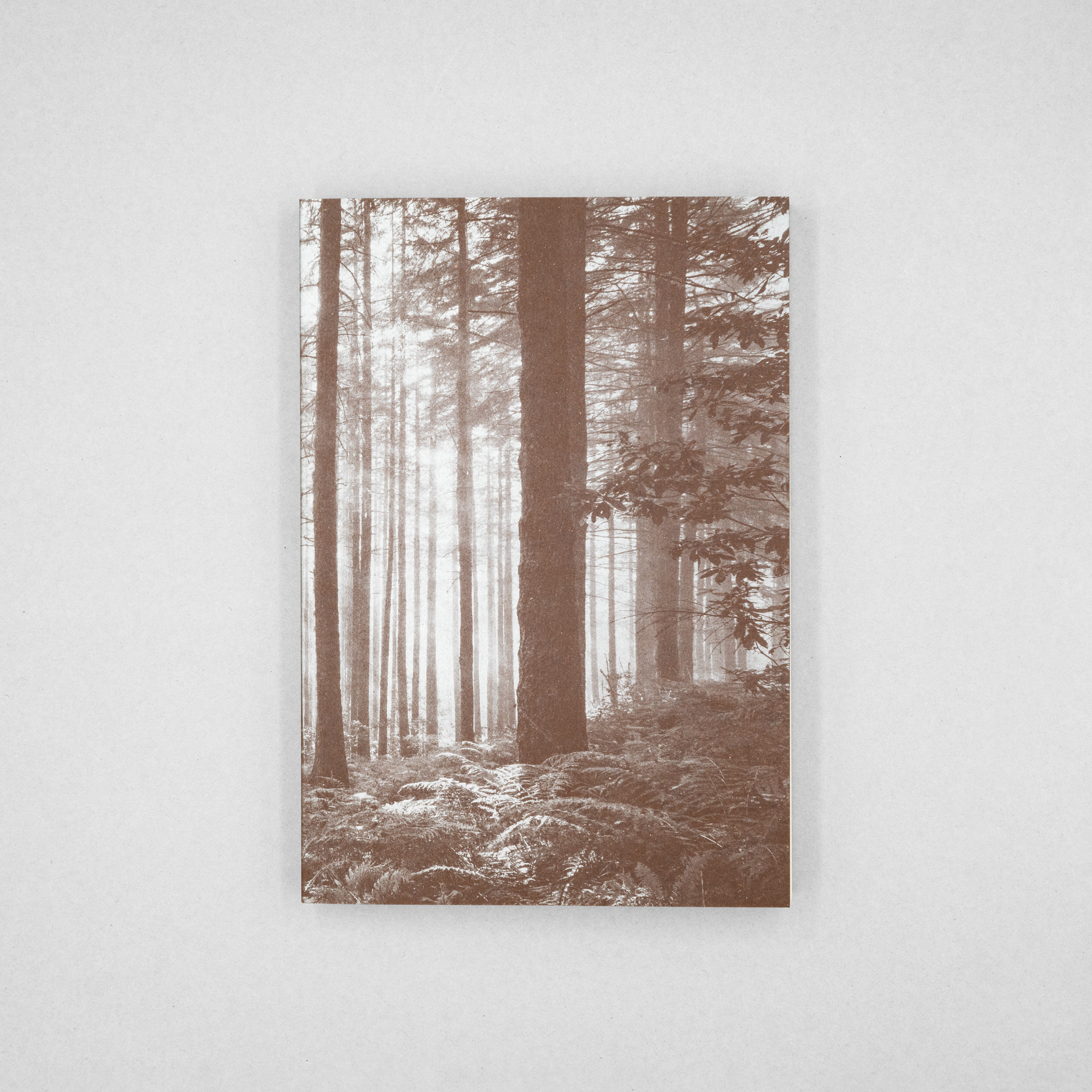 <p>樹木が地球を守っている</p>