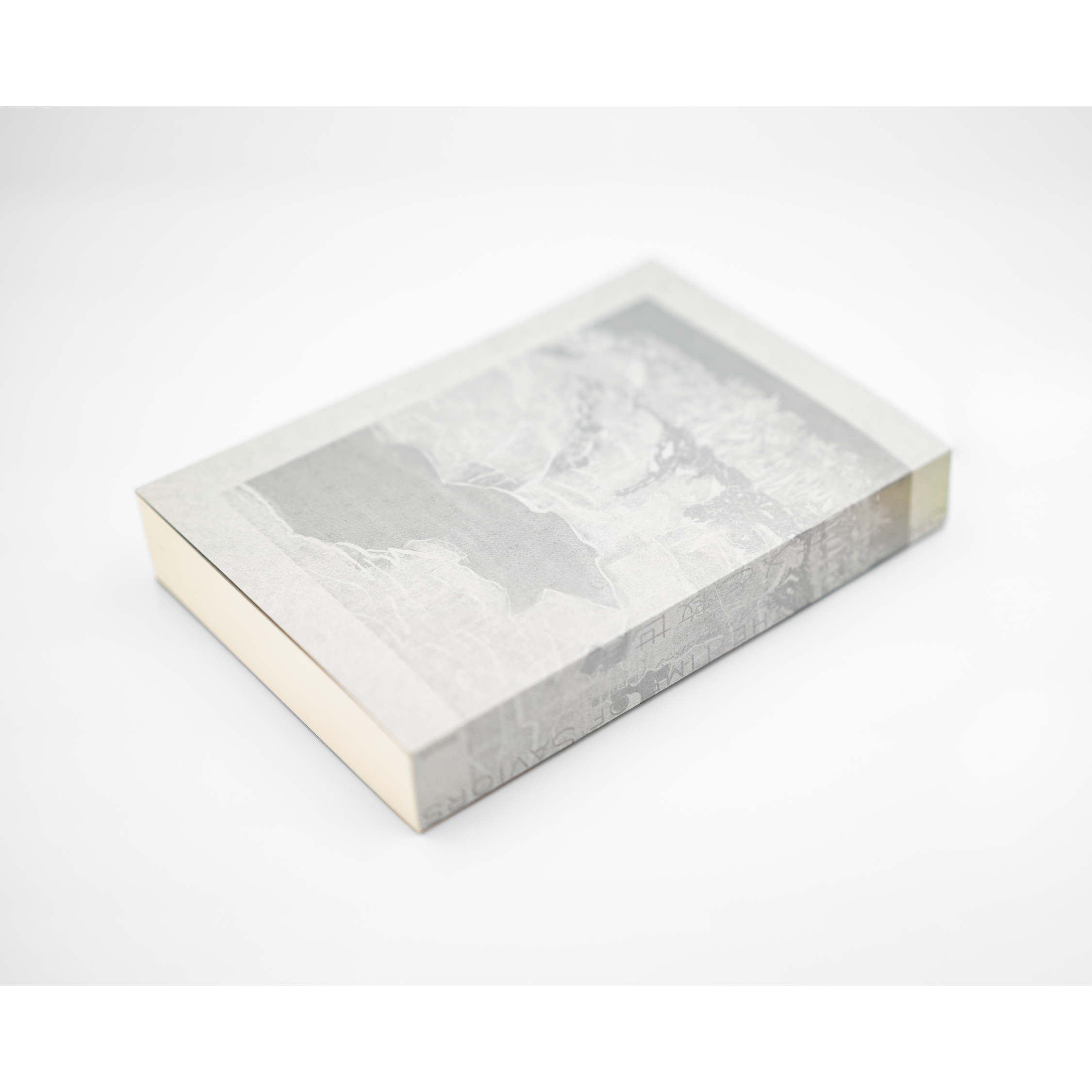 <p>サメと救世主</p>