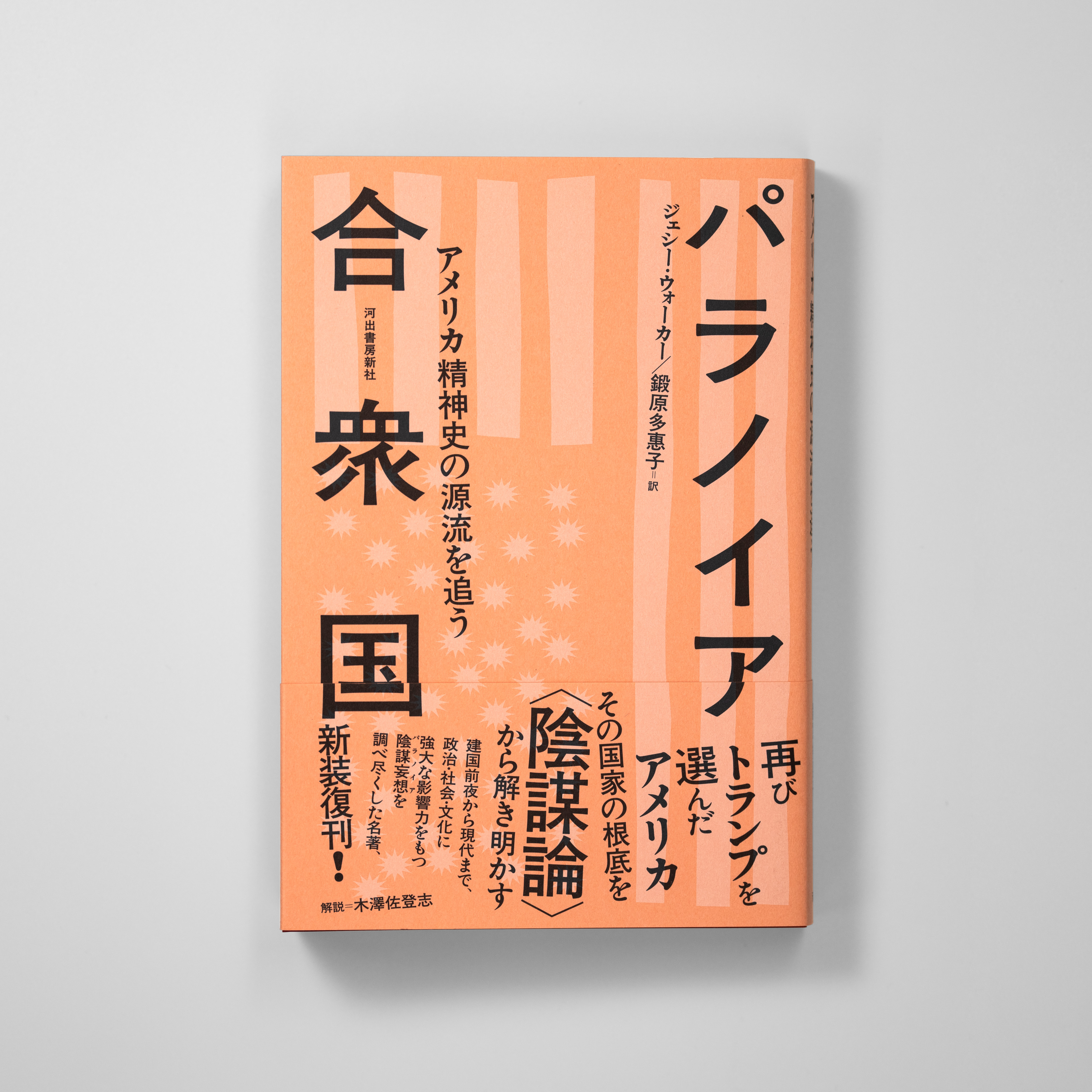 パラノイア合衆国アメリカ精神史の源流を追う サムネイル