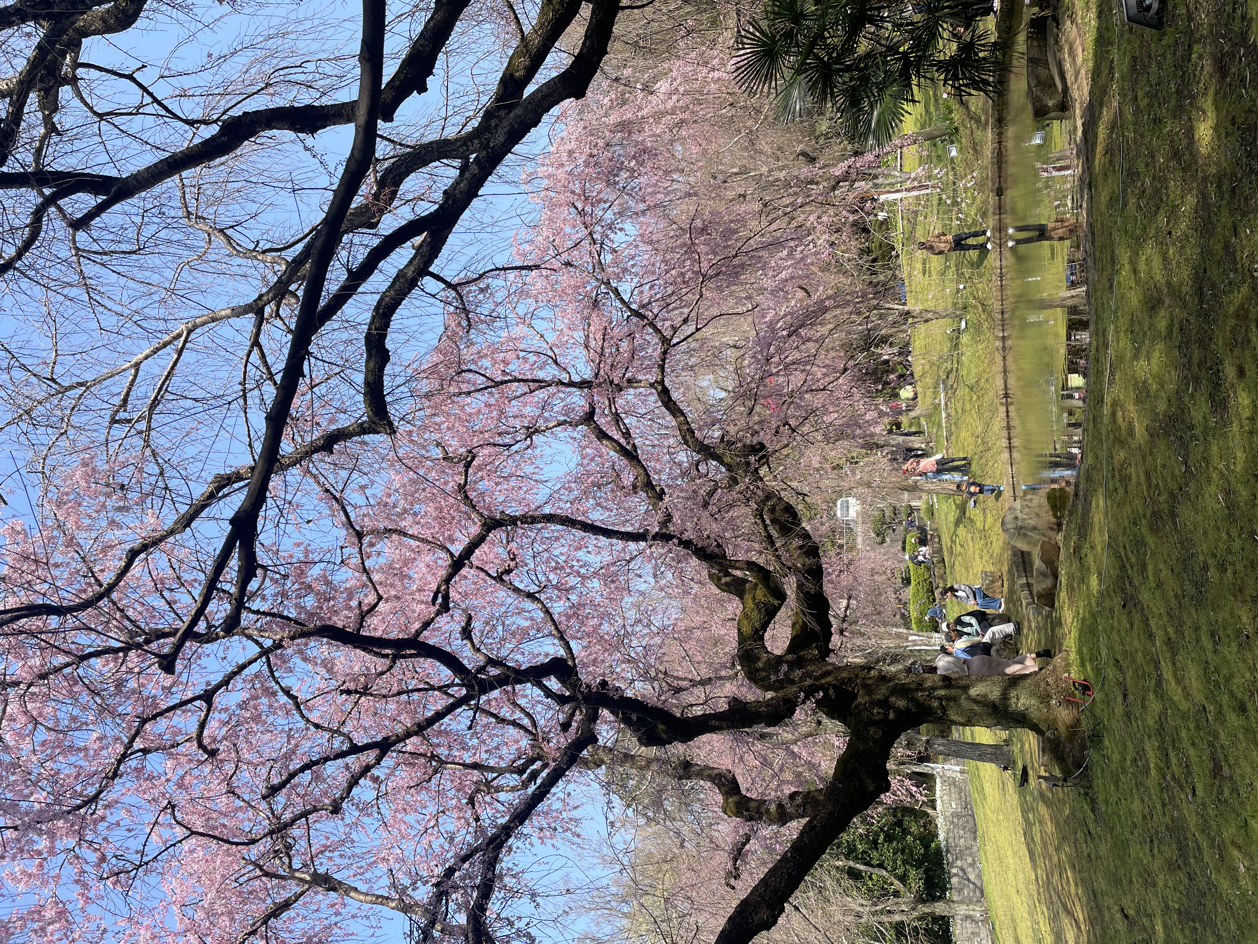 お便りに関連する画像です