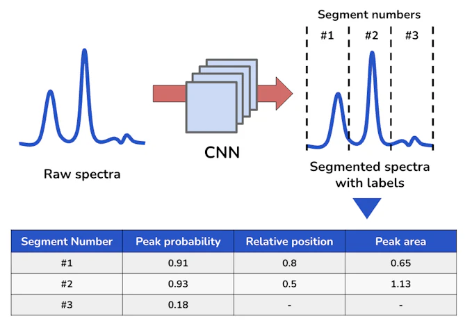 Workflow of segment-based peak detection using a 1D CNN, where spectral data is divided into segments to predict peak probability, position, and area. This approach illustrates automated spectral analysis in measurement informatics, materials AI, and AI for Science.
