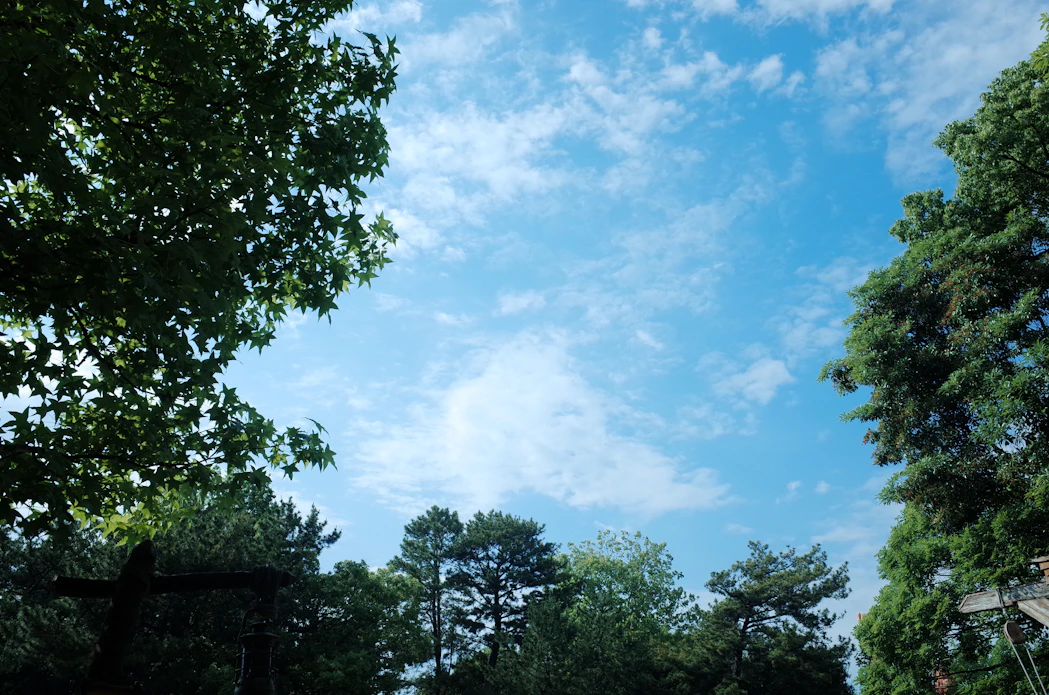 青空の風景。