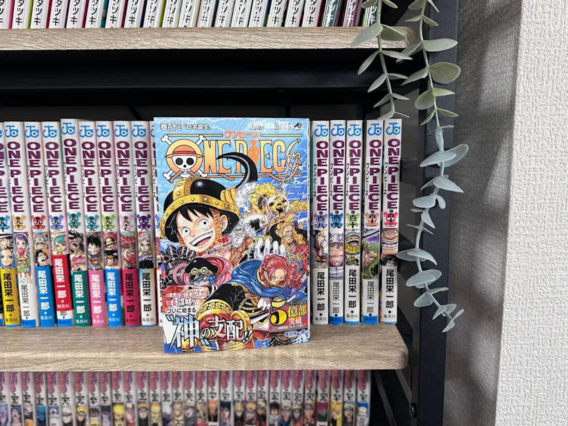 ワンピース113巻