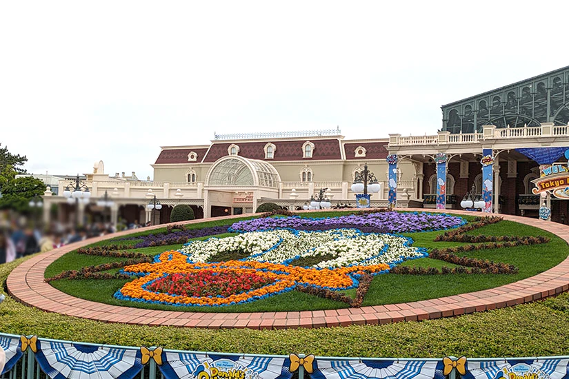 ドナルドの花壇