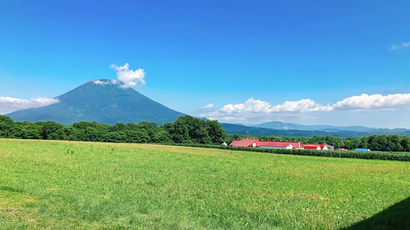 北海道の景色。手前に芝生の丘があり、奥に赤い屋根の家と山が見える。