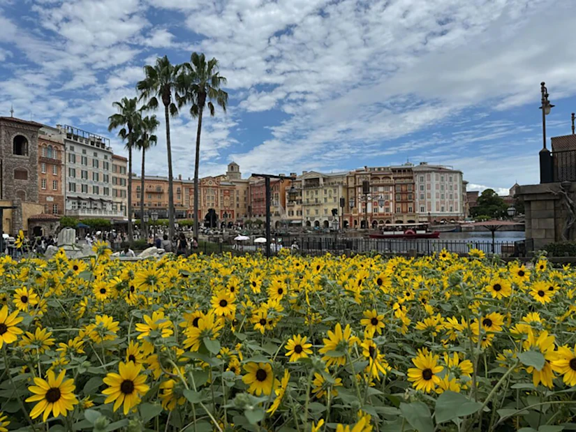 ディズニーシーの景色。手前にひまわりが並んで咲いており、奥にディズニーの建物が並んでいる。