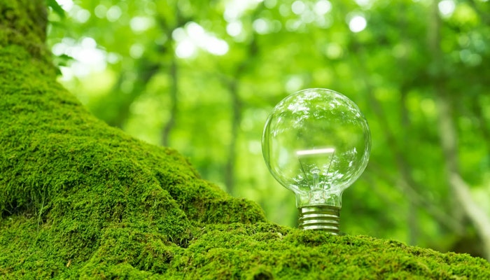 CO2の"見える化"はじめの一歩|②自社の排出量を正確に把握する方法