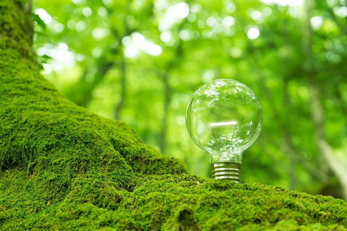 CO2の"見える化"はじめの一歩|②自社の排出量を正確に把握する方法