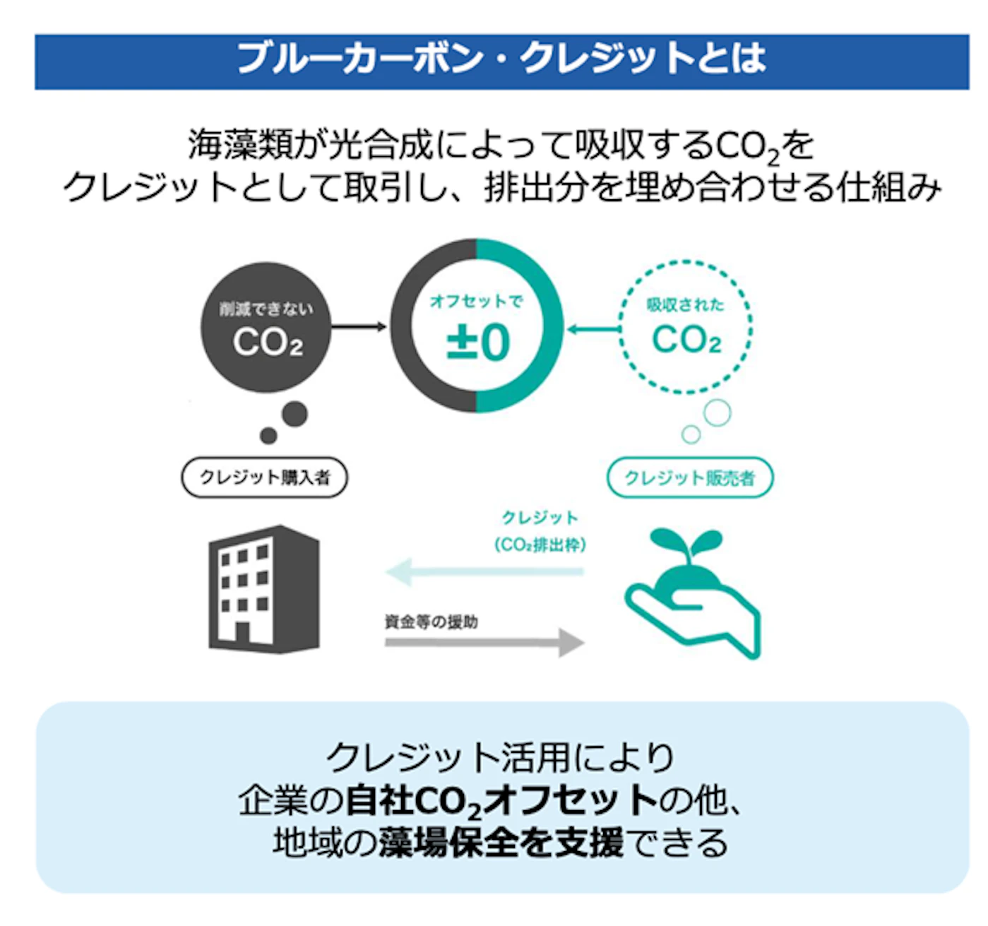 ブルーカーボン・クレジットを説明する画像