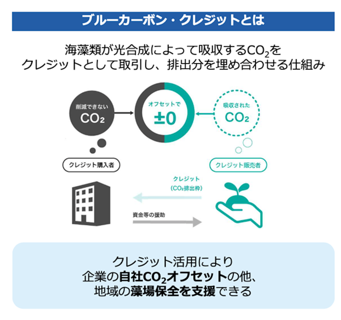 ブルーカーボン・クレジットを説明する画像