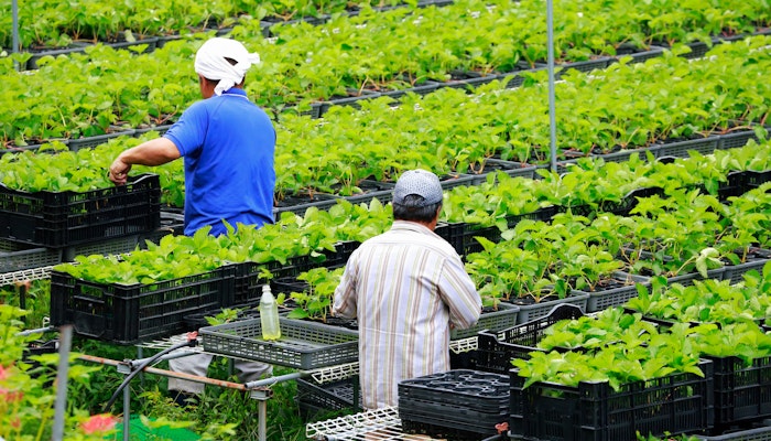 農業とカーボンニュートラル|脱炭素社会に向けた取り組みの現状と課題を徹底解説