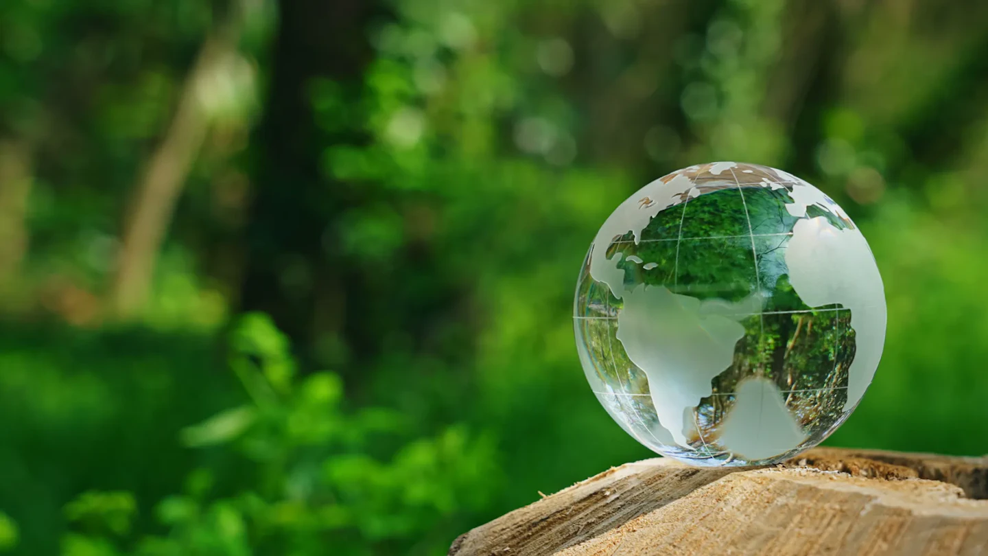 CO2の"見える化"はじめの一歩|③CO2データの活用術 ー測定から削減・開示までー