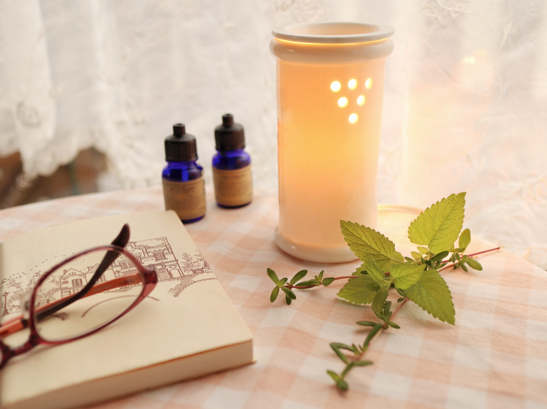 アロマの力（香りの力）で社会に貢献できるプロを排出する