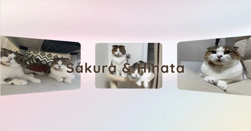 うちの猫ちゃんギャラリー