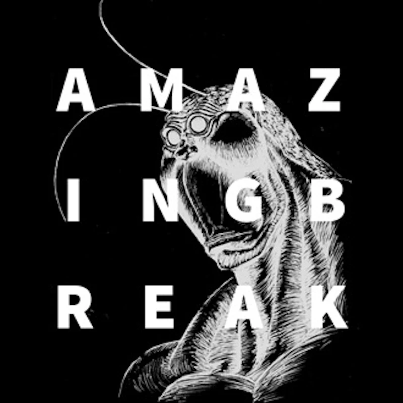 AMAZING BREAK / TERRASPEX