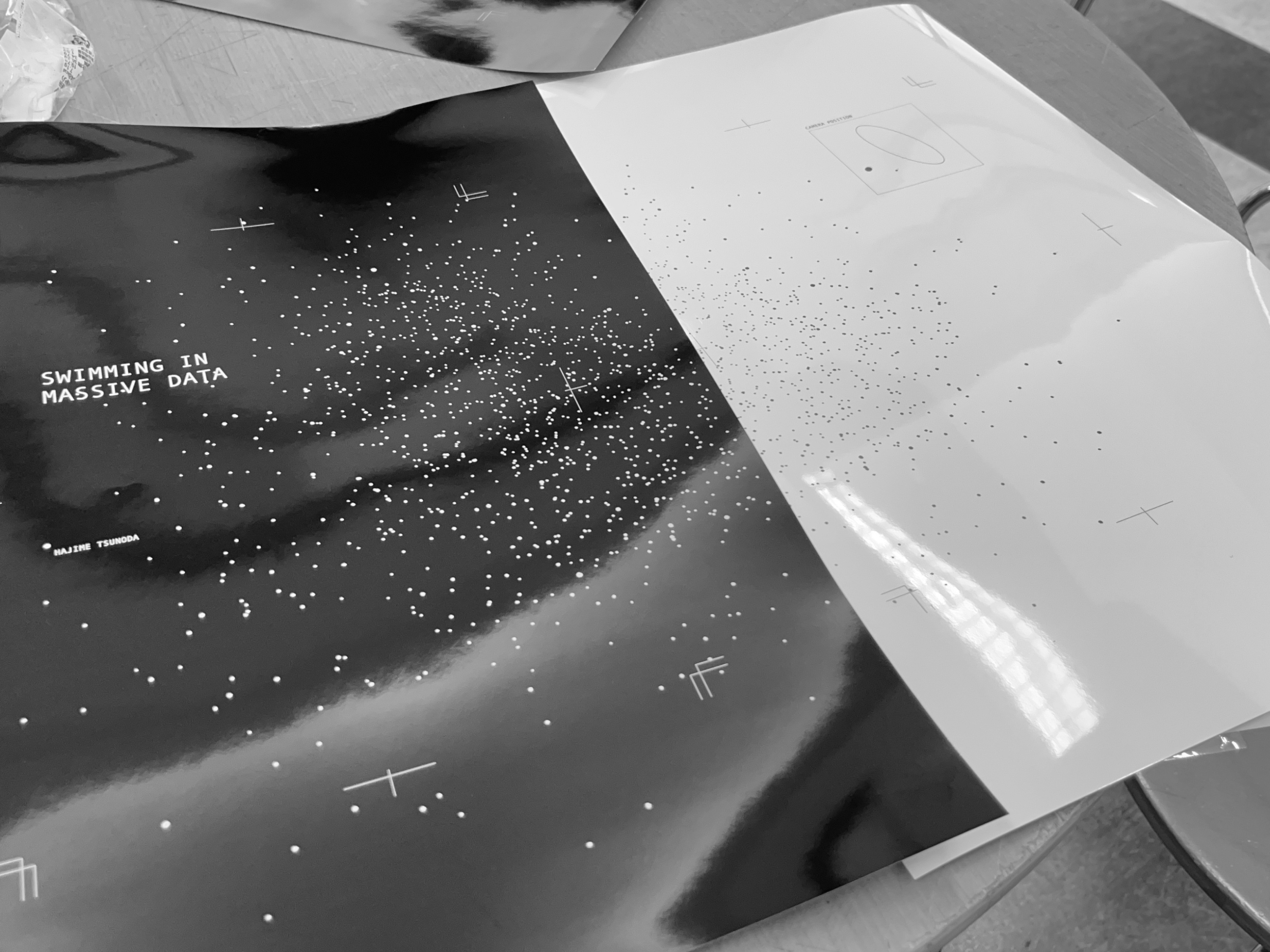 Swimming in Massive Data の画像 11